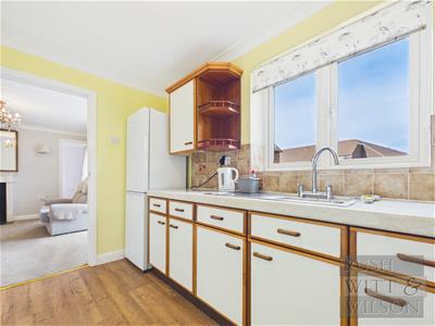 Picture 8
